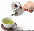 Kyusu inox argent brossé et bois naturel — vue 6